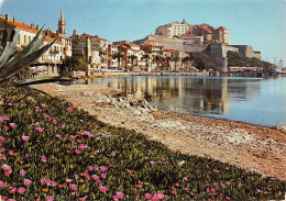 2B-CALVI-N°C4077-C/0173 - Calvi