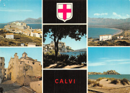 2B-CALVI-N°C4077-C/0045 - Calvi