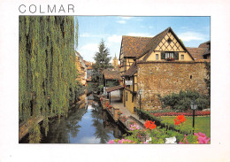 68-COLMAR-N°C4077-B/0045 - Colmar