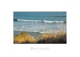 29-BRETAGNE PAYSAGE DE MER-N°C4077-B/0001 - Andere & Zonder Classificatie