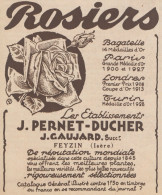 Rosiers J. PERNET-DUCHER - J. Gaujard - Pubblicità D'epoca - 1930 Old Ad - Werbung