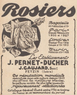 Roses Pernet-Ducher - Jean GAUJARD - Pubblicità D'epoca - 1931 Old Advert - Advertising