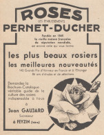 Roses Pernet-Ducher - Jean GAUJARD - Pubblicità D'epoca - 1931 Old Advert - Advertising