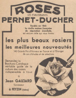 Roses Pernet-Ducher - Jean GAUJARD - Pubblicità D'epoca - 1931 Old Advert - Pubblicitari