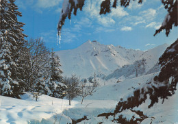 63-PUY DE SANCY-N°C4079-B/0067 - Sonstige & Ohne Zuordnung