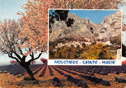 04-MOUSTIERS SAINTE MARIE-N°C4079-B/0015 - Autres & Non Classés