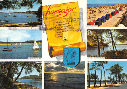 40-HOSSEGOR-N°C4079-D/0241 - Hossegor