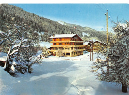 74-MORZINE-N°C4079-D/0179 - Morzine