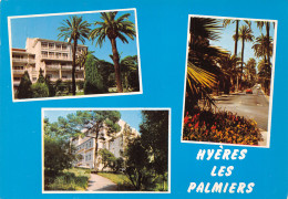 83-HYERES LES PALMIERS-N°C4079-D/0151 - Hyeres