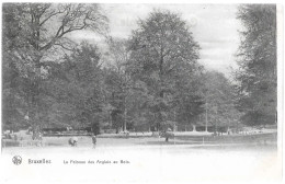 CPA PK AK  CARTE POSTALE BELGIQUE BRUXELLES LA PELOUSE DES ANGLAIS AU BOIS 1911 - Other & Unclassified