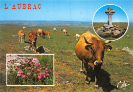 48-L AUBRAC-N°C4080-D/0087 - Sonstige & Ohne Zuordnung