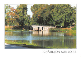 45-CHATILLON SUR LOIRE-N°C4080-D/0061 - Chatillon Sur Loire