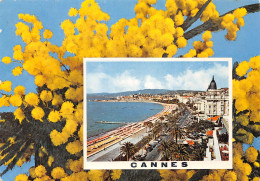 06-CANNES-N°C4080-C/0259 - Cannes