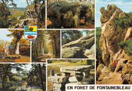 77-FONTAINEBLEAU-N°C4080-C/0229 - Fontainebleau