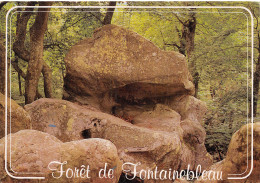 77-FONTAINEBLEAU-N°C4080-B/0363 - Fontainebleau