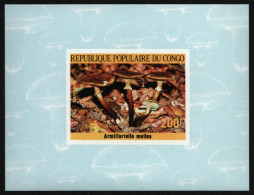 Kongo-Brazzaville 1985 - Mi-Nr. 1018 B ** - MNH - Epreuve De Luxe - Pilze - Neufs