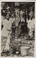 Malaya Rubber Tapping Singapore Real Photo Old Postcard - Malaysia