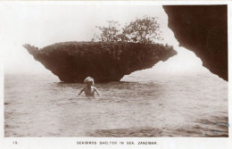 Zanzibar Sea Birds Shelter Africa Antique Real Photo Postcard - Zonder Classificatie