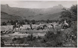 Crossing The Tugela River Western Cowboy Style Natal Africa RPC Postcard - Níger