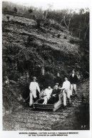 Madeira Funchal Visitors Toboggan Descent Mountain Spain RPC Postcard - Other & Unclassified