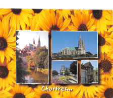 28-CHARTRES-N°C4081-A/0049 - Chartres