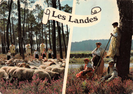 40-LES LANDES FOLKLORE-N°C4081-C/0333 - Other & Unclassified