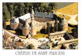 89-SAINT FARGEAU-N°C4081-C/0175 - Saint Fargeau