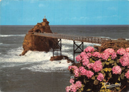 64-BIARRITZ-N°C4081-C/0075 - Biarritz