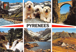 65-HAUTES PYRENEES-N°C4082-B/0015 - Sonstige & Ohne Zuordnung