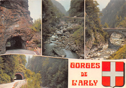 73-GORGES DE L ARLY-N°C4082-B/0007 - Other & Unclassified