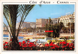 06-CANNES-N°C4082-A/0065 - Cannes