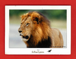 Animaux-02PH Le LION, An African Experience, Voir Scan Timbre - Leones
