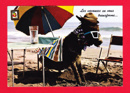 Animaux-14P Les Vacances ça Vous Transforme, Un âne Avec Chapeau, Lunettes De Soleil, BE - Donkeys