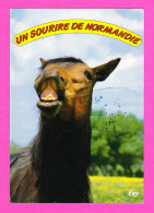 Animaux-58PH13 Cheval ""un Sourire De Normandie"" - Caballos