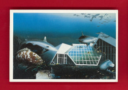 Animaux-101PH5 Aquarium De La Rochelle, Les Requins, BE - Sonstige & Ohne Zuordnung