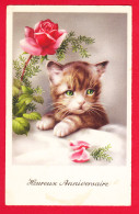 Animaux-171PH24 Heureux Anniversaire, Un Chaton Et Une Rose, - Katzen