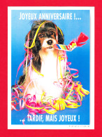 Fête-30PH5 Joyeux Anniversaire, Tardif Mais Joyeux, Chien Avec Serpentins, BE - Anniversaire