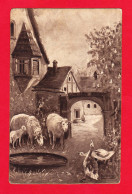 Illust-126P6 PRENZ, Une Cour De Ferme, Moutons, Oies, Cpa BE - Autres & Non Classés