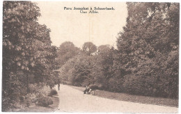 CPA PK AK  CARTE POSTALE BELGIQUE BRUXELLES-SCHAERBEEK UNE ALLEE DU PARC JOSAPHAT - Sonstige & Ohne Zuordnung