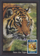 Bangladesh 2009 Stamp Exhibition, Tiger, Tigers, Wildlife, Wild Life, Animal, Animal, Postcard - Bangladesch