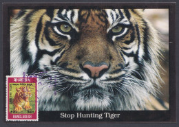 Bangladesh 2009 Stamp Exhibition, Tiger, Tigers, Wildlife, Wild Life, Animal, Animal, Postcard - Bangladesh