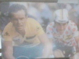 CYCLISME 1986  :PETITE CARTE BERNARD HINAULT EN JAUNE AVEC LUIS HERRERA EN MAILLOT A POIS - Radsport