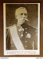 Albert Gerard Leo D'Amade 1856  1941 Generale Di Francia - Otros & Sin Clasificación