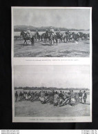 L'armata Del Marocco - Parco Imperiale Di Marrakech Stampa Del 1903 - Autres & Non Classés