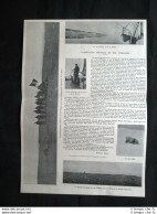 La Spedizione Artica Di Luigi Filippo Roberto Duca D'Orleans Stampa Del 1905 - Sonstige & Ohne Zuordnung