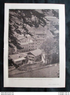 Pieve Di Cadore: La Casa Di Tiziano + Sala Del Museo Di Tiziano Stampa Del 1932 - Autres & Non Classés