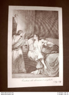 Duchessa Cristina Di Borbone-Francia Incisione 1881 Dinastia Di Savoia Oscar Pio - Before 1900