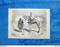 Gravure Année 1861 -Touaregs (Mali) - Tuareg - Before 1900