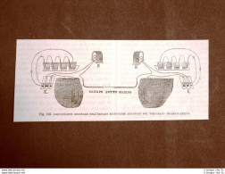 Incisione Del 1875 Invenzione Il Telegrafo Organo Ricevitore Nel Transatlantico - Antes 1900