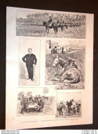 Guerra Spagna Vs America Nel 1898 Generale Shafter E Reggimento Rought-Riders - Antes 1900